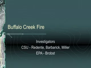 Buffalo Creek Fire
