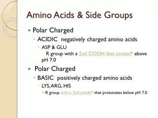 Amino Acids &amp; Side Groups
