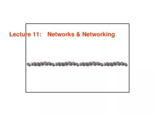Lecture 11: 	 Networks &amp; Networking