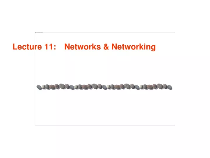 lecture 11 networks networking