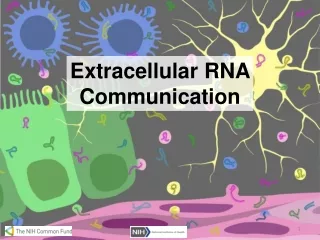 Extracellular RNA Communication