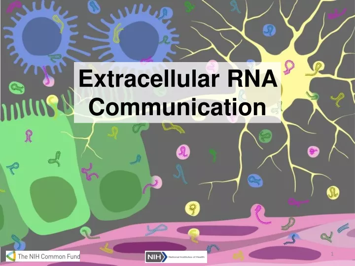 extracellular rna communication