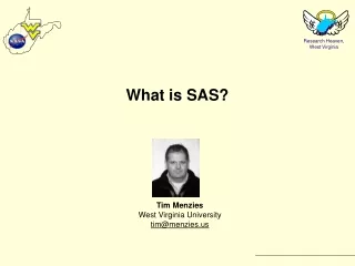 What is SAS?