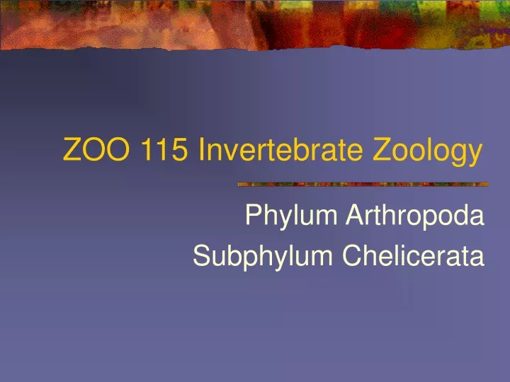 zoo 115 invertebrate zoology