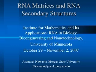 RNA Matrices and RNA Secondary Structures