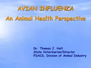 AVIAN INFLUENZA   An Animal Health Perspective
