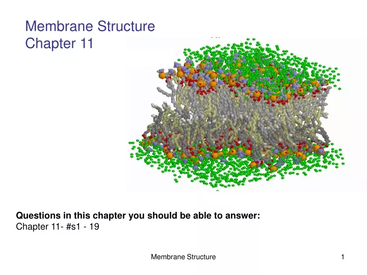 membrane structure chapter 11