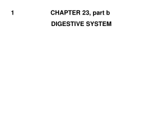 1                     CHAPTER 23, part b DIGESTIVE SYSTEM