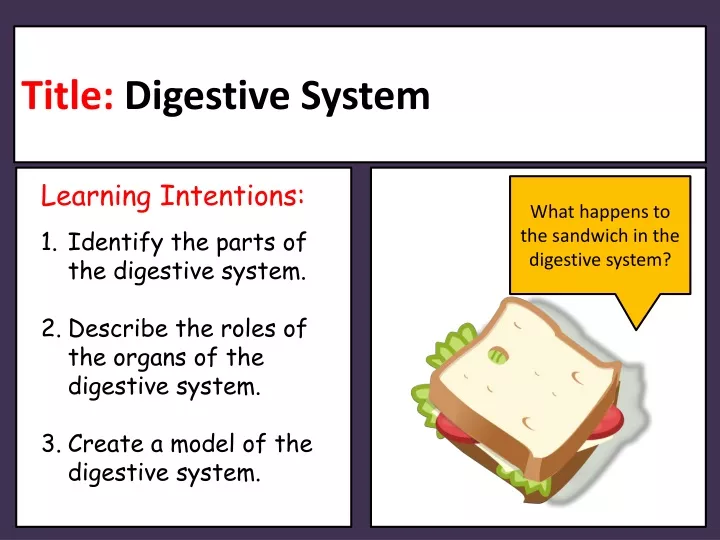 title digestive system