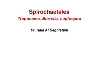 Spirochaetales Treponema, Borrelia, Leptospira Dr. Hala Al Daghistani