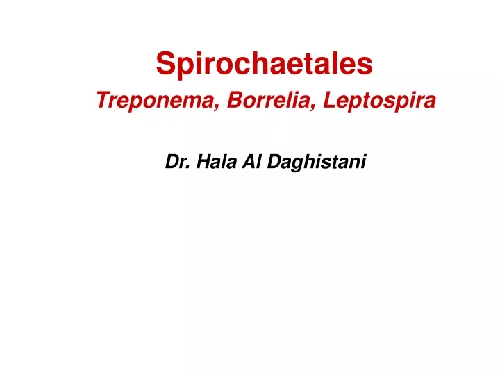 spirochaetales treponema borrelia leptospira