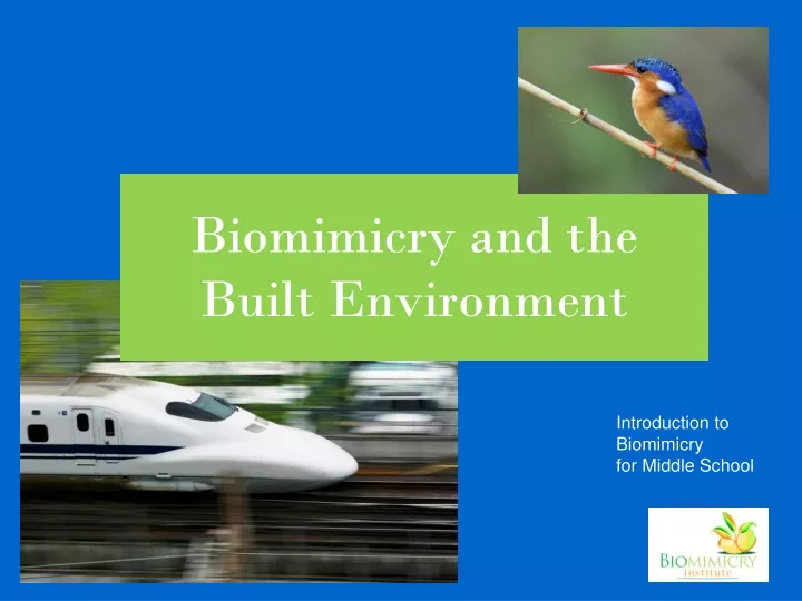 biomimicry and the built environment