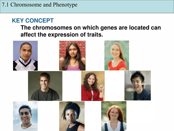 7 1 chromosome and phenotype