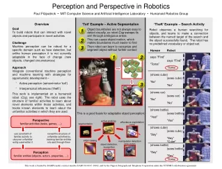 Perception and Perspective in Robotics