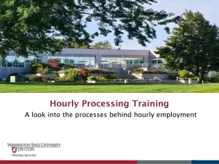 Hourly Processing Training