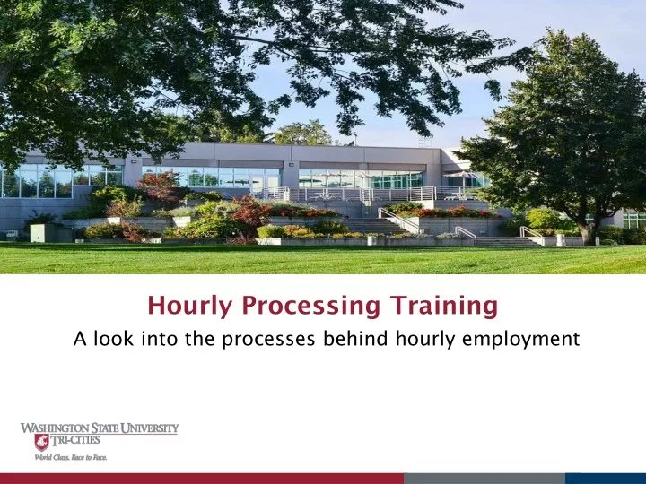 hourly processing training