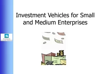 Investment Vehicles for Small and Medium Enterprises
