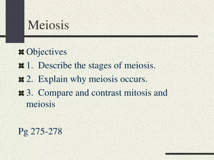 meiosis