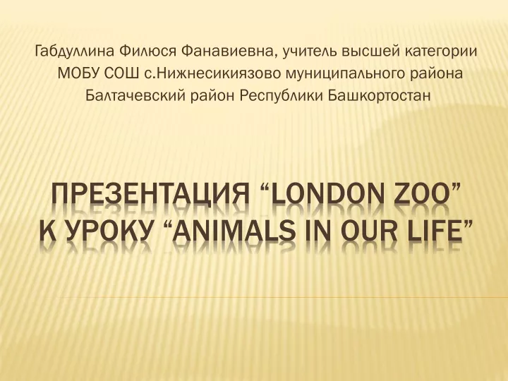 london zoo animals in our life