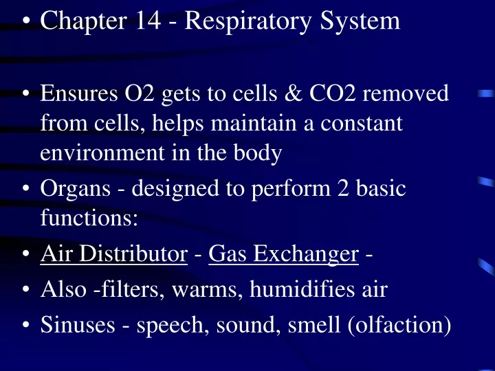 chapter 14 respiratory system ensures o2 gets