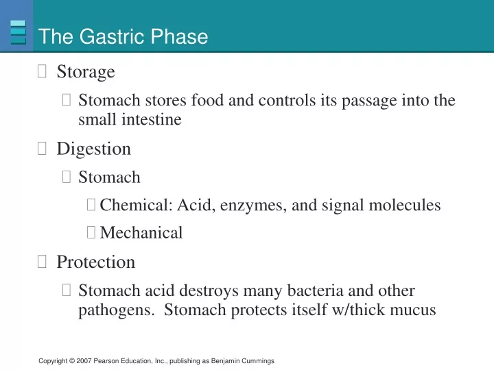 the gastric phase