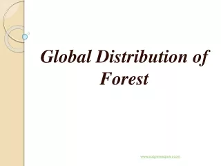 Global Distribution of Forest