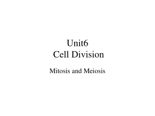 Unit6  Cell Division