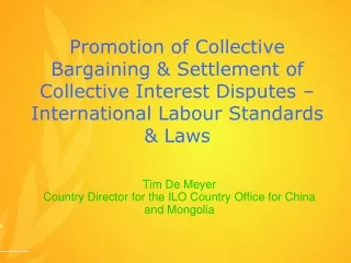 Tim De Meyer Country Director for the ILO Country Office for China and Mongolia