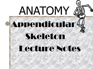 Appendicular              Skeleton        Lecture Notes