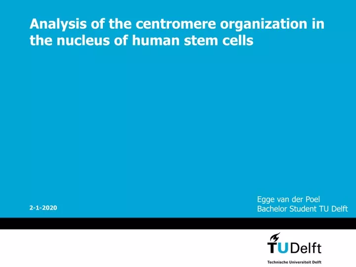 analysis of the centromere organization in the nucleus of human stem cells