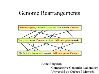 Genome Rearrangements