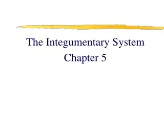 The Integumentary System Chapter 5