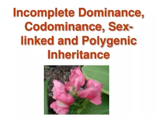 Incomplete Dominance, Codominance, Sex-linked and Polygenic Inheritance