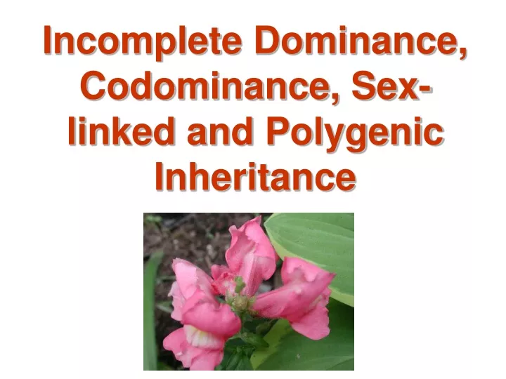 incomplete dominance codominance sex linked and polygenic inheritance