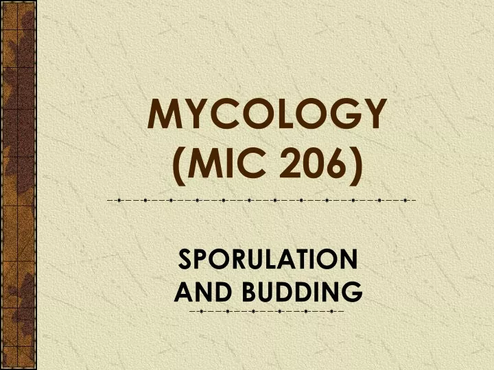 mycology mic 206