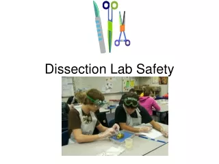 Dissection Lab Safety