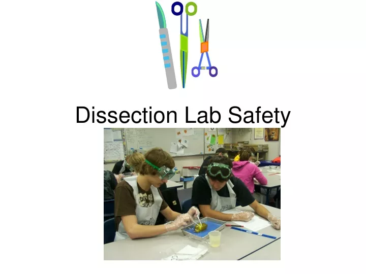 dissection lab safety