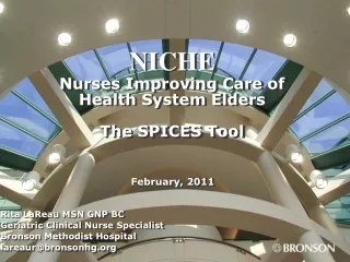 NICHE Nurses Improving Care of Health System Elders The SPICES Tool