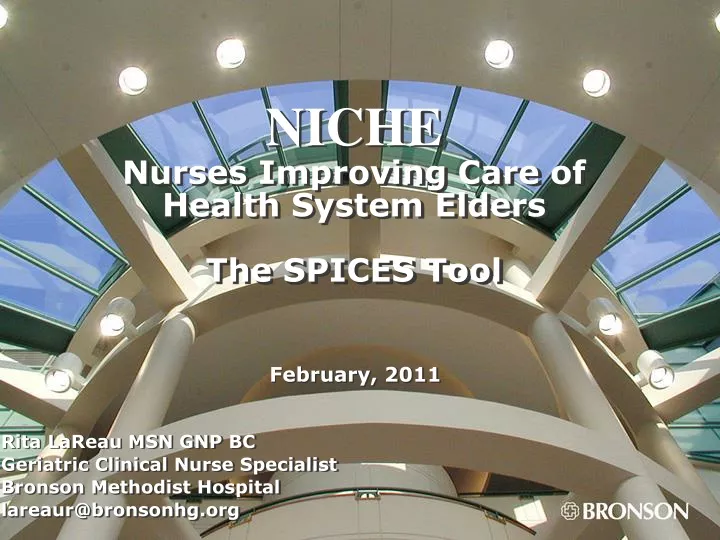 niche nurses improving care of health system