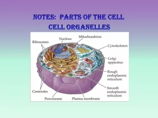 Notes:  Parts of the Cell