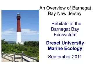 An Overview of Barnegat Bay New Jersey