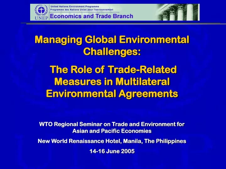 managing global environmental challenges the role