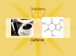 Amines - slide 1