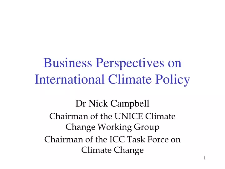 business perspectives on international climate policy