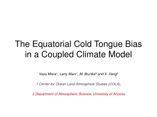 The Equatorial Cold Tongue Bias in a Coupled Climate Model