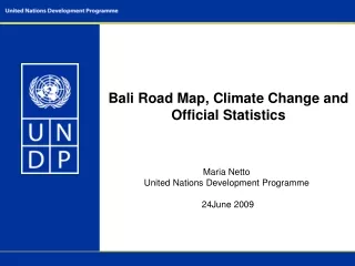 Bali Road Map, Climate Change and Official Statistics