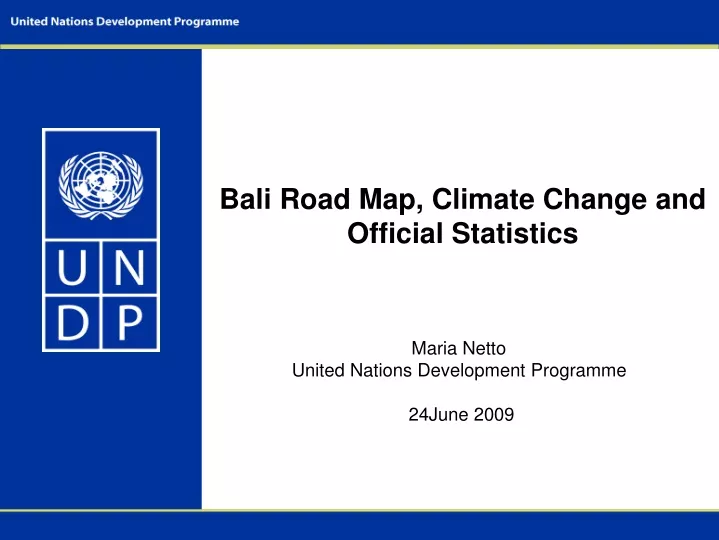 bali road map climate change and official