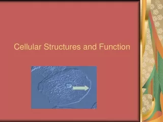 Cellular Structures and Function