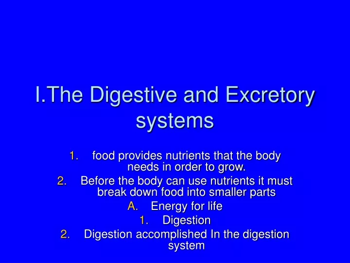 i the digestive and excretory systems
