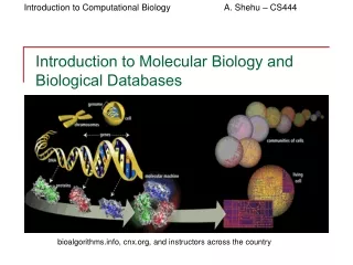 Introduction to Molecular Biology and Biological Databases